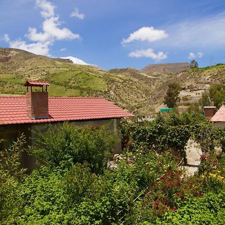 Hostal Vientos Del Altiplano Putre Esterno foto
