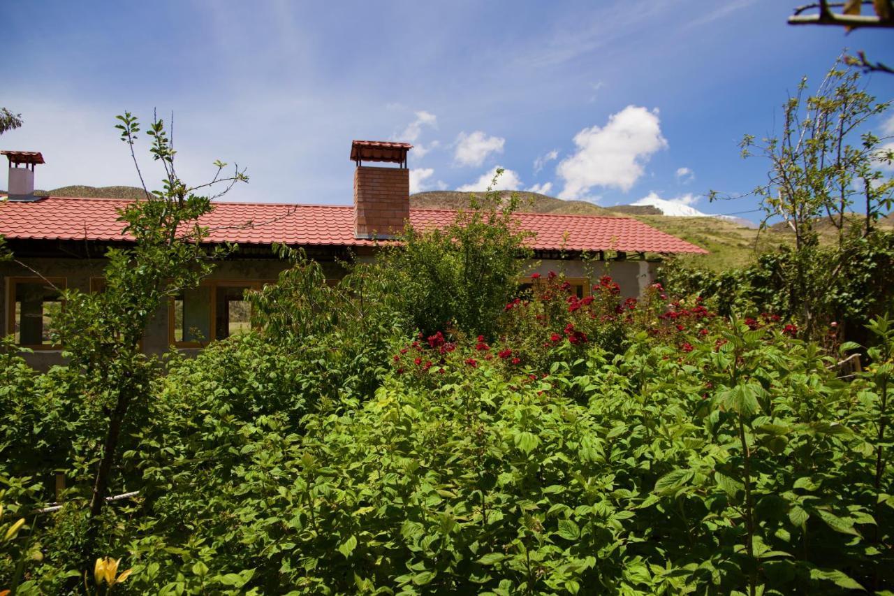 Hostal Vientos Del Altiplano Putre Esterno foto