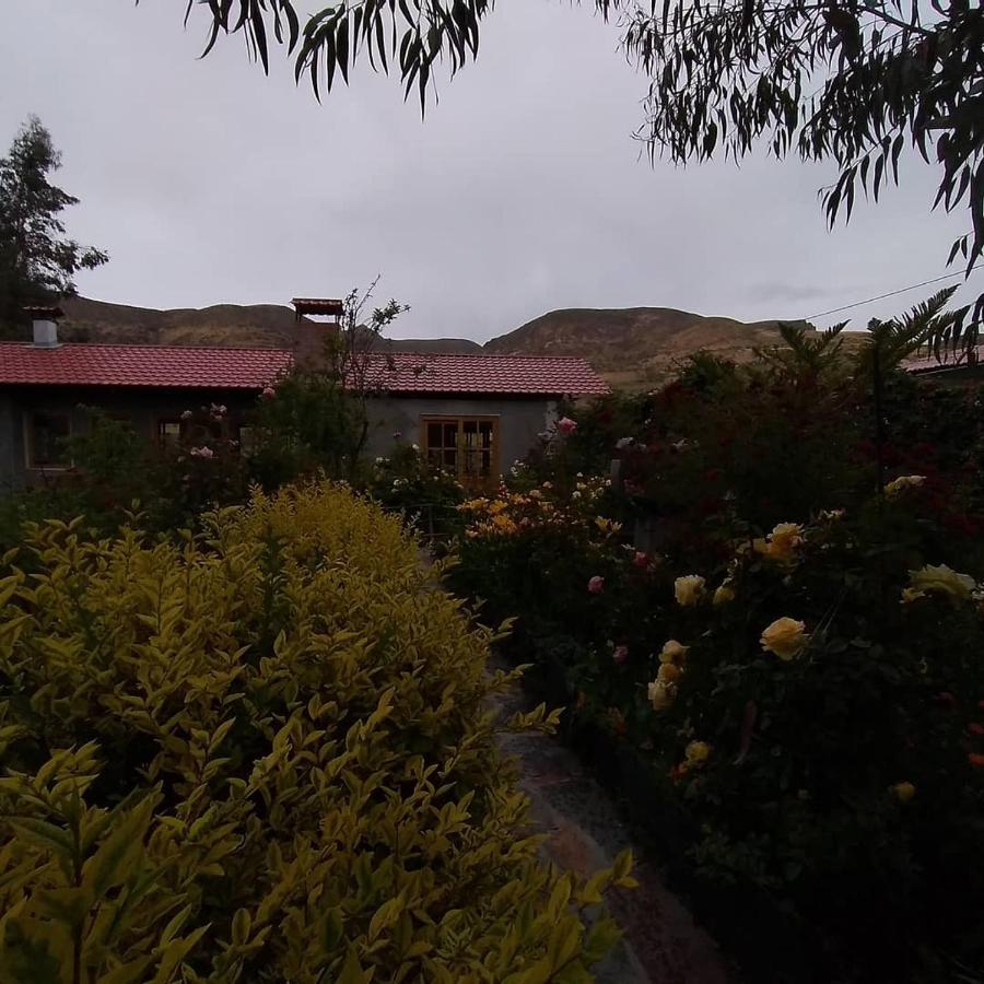Hostal Vientos Del Altiplano Putre Esterno foto