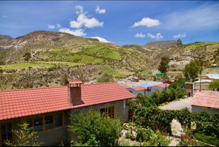 Hostal Vientos Del Altiplano Putre Esterno foto