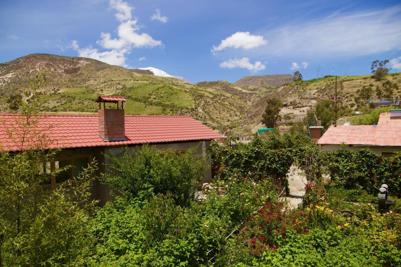 Hostal Vientos Del Altiplano Putre Esterno foto